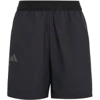 Adidas Terrex Multi Clima365 Shorts
