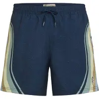 O'Neill O'Riginals Longboard 15" Boardshorts blå