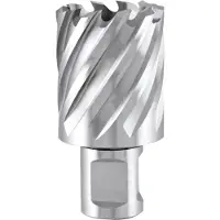 RUKO Hss-co 5 Weldon Ø 24 Mm Hulborkrone