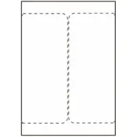 Capture - Permanet adhesiv - hvit - 105 x 220 mm 1000 etikett(er) (500 ark x 2) forsendelsesetiketter
