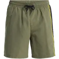 Quiksilver Everyday Clicker Volley 17 Boardshorts grønn
