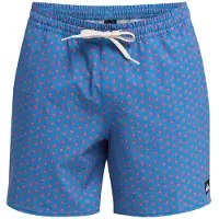 Quiksilver Stretch Printed Volley 16 Boardshorts blå