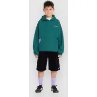 Volcom Fa Ben Sanaire Po Kids Hettegenser grønn