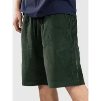 Blue Tomato Mini Cord Shorts grønn