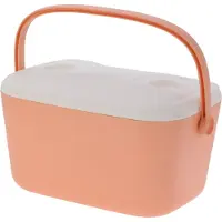 Basics Stiv Bærbar Kjøleboks 20l