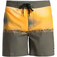 Quiksilver Everyday Half Jam 16 Boardshorts mønster