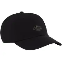 Dickies Duck Canvas Dad Caps svart