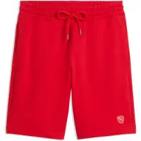 Puma Essentials Elevated 9" Shorts Men, , Red, S