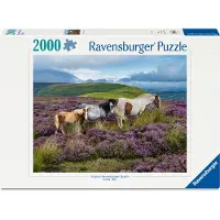 Ravensburger Ville Hester 2000p (12001751) Puslespill