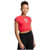 Adidas Seasonals Collegiate Typography Kortarmet T-skjorte