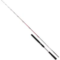 Renzo Valdieri Reggia Jigging Stang