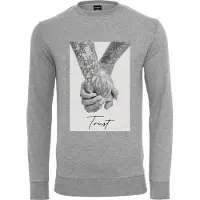 Mister tee Trust 2.0 Collegegenser