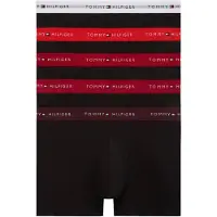 Tommy Hilfiger Um0um03893 Trunk Boxers 5 Enheter