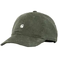 Carhartt WIP Harlem Caps grå