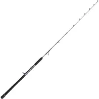 Penn Battalion Solid Boat Spiral Jig Baitcastingstang