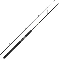 Penn Wrath Ii Spinnestang