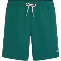 O'Neill Vert 16'' Boardshorts grønn
