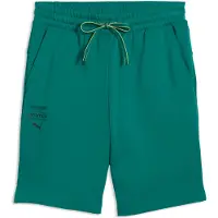 Puma x ASTON MARTIN ARAMCO F1 TEAM Essentials Shorts Men, Motorsport, Green Lux, L