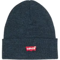 Levis Accessories Batwing Slouchy Embroidered Lue