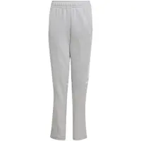 Adidas Squadra 25 Svettbukser
