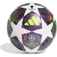 Adidas UCL 25/26 Final Pro Sala fotball, lilla og hvit, JX9102 FUTS