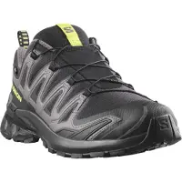 Salomon XA PRO 3D V9 GTX, Terrengsko, Herre, Black/Dark Gull Gray/Acid Lime