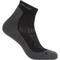Icebreaker Merino Hike+ Light Mini Sokker