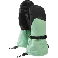 Burton Gore-Tex Deluxe Votter grønn