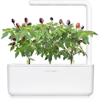 Click and Grow Smart Garden 9-pack refill - Purple Chili Pepper