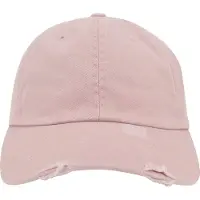 Flexfit Low Profile Detroyed Cap