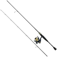 Daiwa Rs802hxhfsaf+rs4000 Spinnende Combo