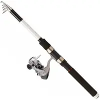 Daiwa Sweepfire Tele+q830fm Spinnende Combo