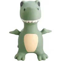 Find That Hippo Dinosaur