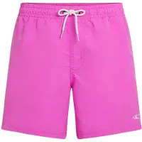 O'Neill Vert 16'' Boardshorts