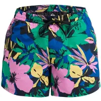 Quiksilver Everyday Printed Volley 15 Boardshorts blå