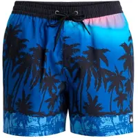 Quiksilver Everyday Printed Volley 15 Boardshorts blå