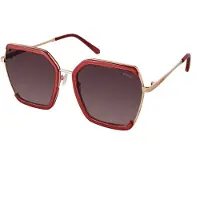 GUESS Gf0418-5869t Solbriller For Kvinner