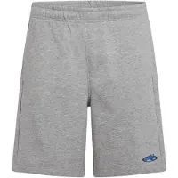 O'Neill Essentials 90'S Sweat Shorts grå