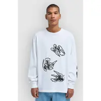 RVCA AF Birds Langermet T-skjorte hvit