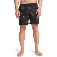 Billabong Vacay Boardshorts svart