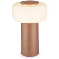Briloner Juna LED-bordlampe med batteri, brun, IP44, dimbar, 20 cm