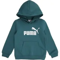 Puma ESS No. 1 Logo Fleece Hoodie Kids, Clothing, Emerald Ice, 6-7Y