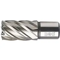 Bohrcraft Hss Weldon 25.0 X 30 Mm Bc-qp Hulborkrone