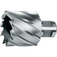 RUKO 108260e Hss-co 5 Cobalto Weldon Ø 60 Mm Hulborkrone