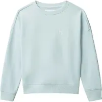 Calvin Klein Collegegenser - Monogram - Nantucket Breeze m. Tryk - - 12 år (152) - Collegegenser