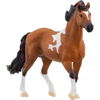 Schleich Horse Club - L: 17 cm - Mangalarga Marchador-hingst - - OneSize - Lekedyr
