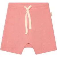Petit Piao Shorts - Rib - Modal - Sea Shell Rosa - - 74 - Shorts