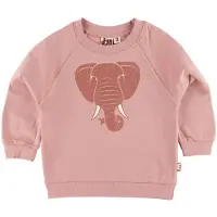 DYR -Cph Collegegenser - ANIMAL Bellow - Rose Glow m. Elephant/Gl - - 7 år (122) - Collegegenser