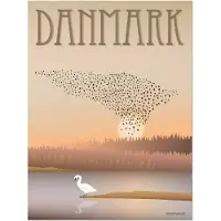ViSSEVASSE Plakat - 30x40 - Danmark - Svart Sol - - OneSize - Plakat