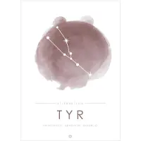 Citatplakat Plakat - A3 - TYR - Lyserød - - OneSize - Plakat